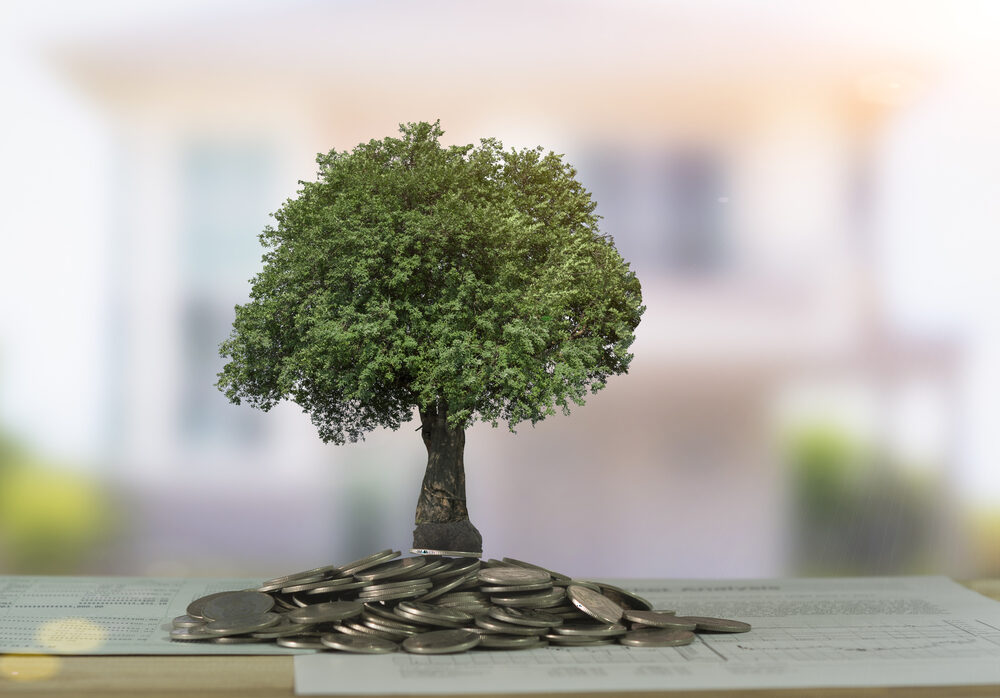 Real estate investor improving portfolio with a blanket loan