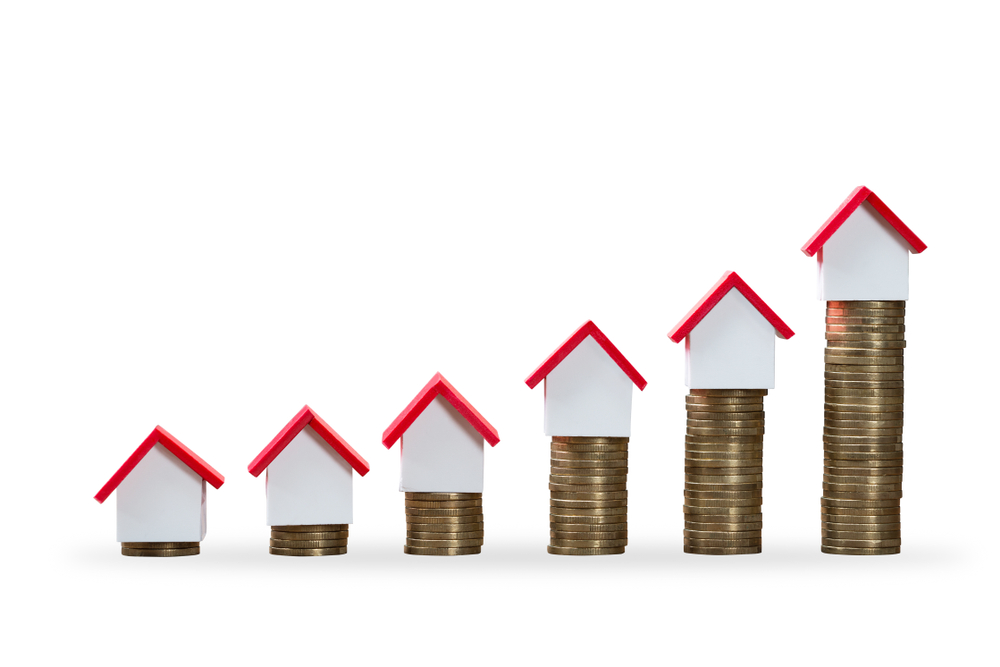 Real estate investor reviewing multiple mortgage options for rental properties