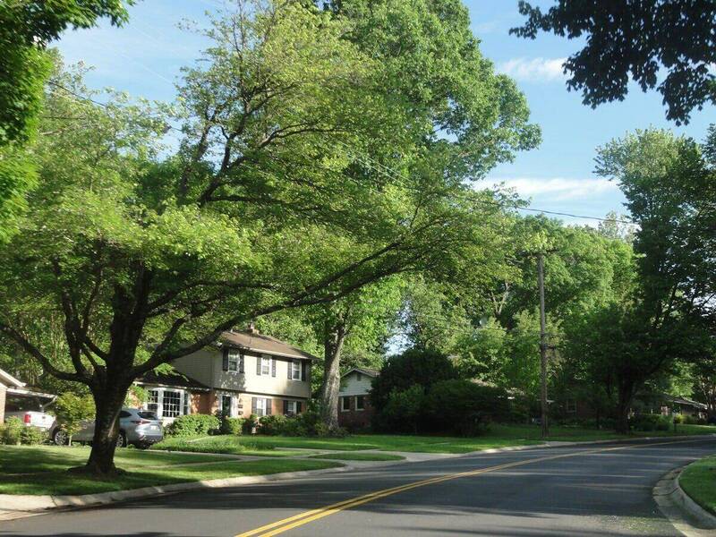 Well-maintained rental property with professional property management