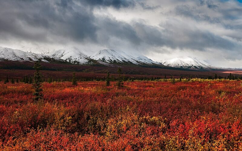 Denali mountain and wilderness landscape in Alaska