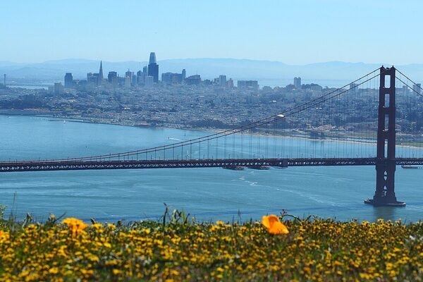 San Francisco skyline with the Golden Gate Bridge and wildflowers in the foreground