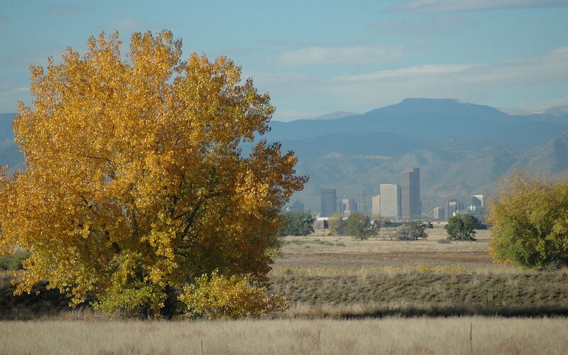 Denver Colorado skyline with Rocky Mountains backdrop
