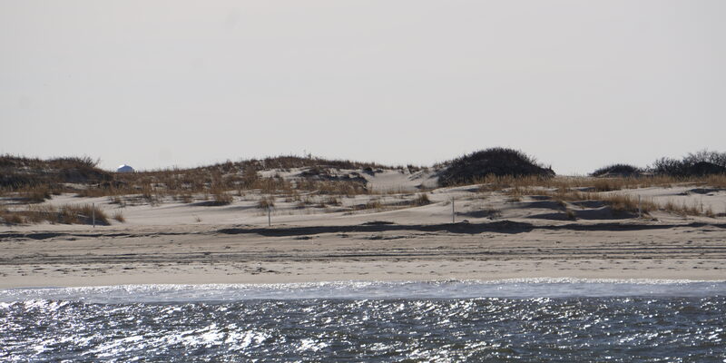 Sandy beach and dunes at Cape Henlopen State Park near Lewes, Delaware