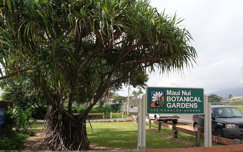 Maui Nui Botanical Gardens entrance in Kahului, Maui, Hawaii