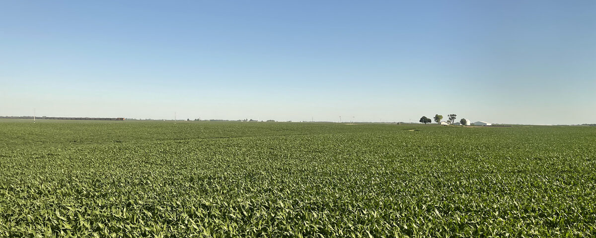 Flat Illinois prairie farmland stretching to the horizon under a clear blue sky