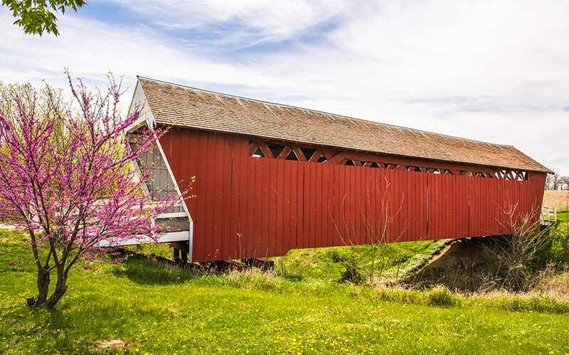 Historic red covered bridge in Madison County, Iowa surrounded by spring blooms