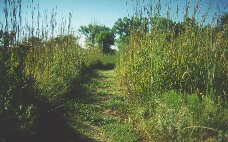 Trail through the Tallgrass Prairie National Preserve in the Flint Hills of Kansas