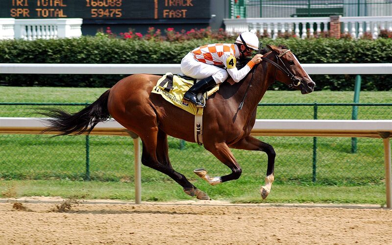 Churchill Downs racetrack in Louisville, Kentucky during the Kentucky Derby