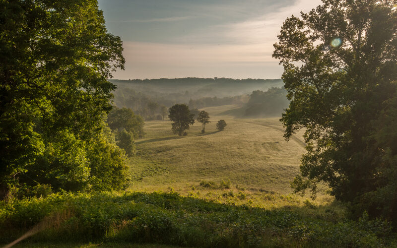 Misty morning over rolling green hills and valleys near Mammoth Cave National Park in Kentucky