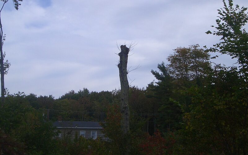 Windham, Maine Sebago Lake area residential neighborhood