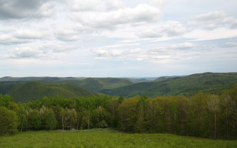 Rolling green forested hills in the Berkshires of western Massachusetts