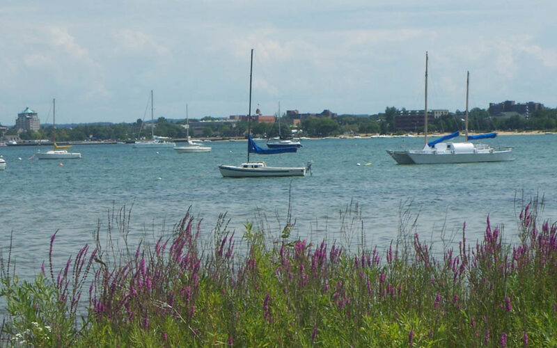 Grand Traverse Bay waterfront with sailboats and wildflowers in Traverse City, Michigan