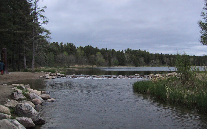 Lake and evergreen forest in northern Minnesota's Boundary Waters region