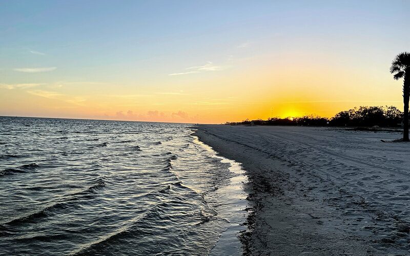 Gulf Coast beach sunset with palm tree in Gulfport, Mississippi