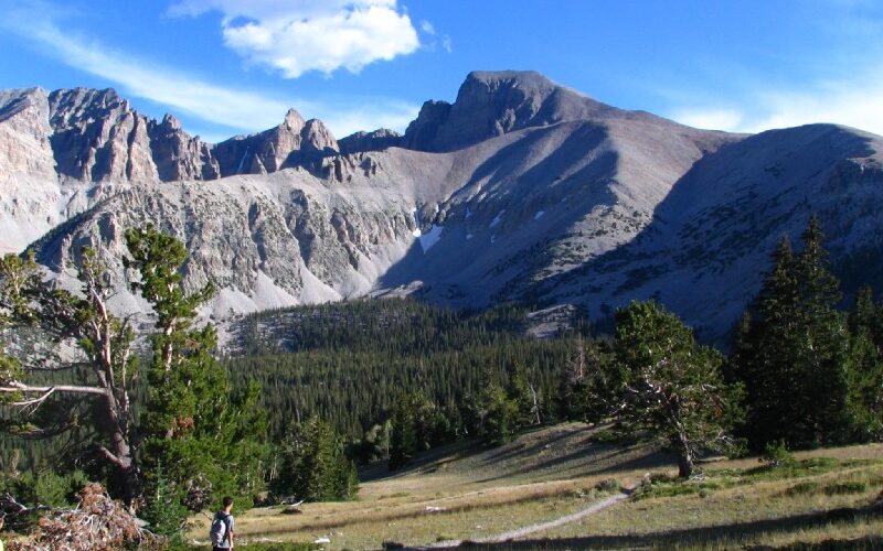 Wheeler Peak and bristlecone pine trees at Great Basin National Park Nevada