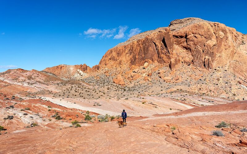 Stunning red sandstone formations at Valley of Fire State Park Nevada