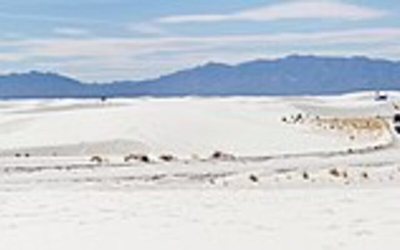White gypsum sand dunes stretching to the horizon at White Sands National Park in southern New Mexico