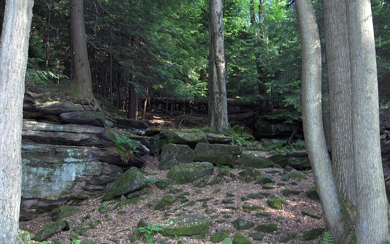 Moss-covered rocks and lush green woodland in Cuyahoga Valley National Park, Ohio