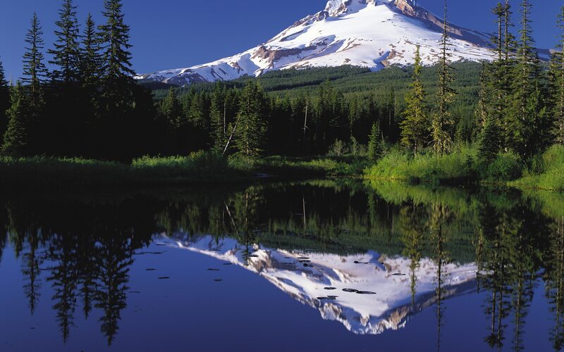 Snow-capped Mount Hood in Oregon reflected in Trillium Lake surrounded by evergreen forest