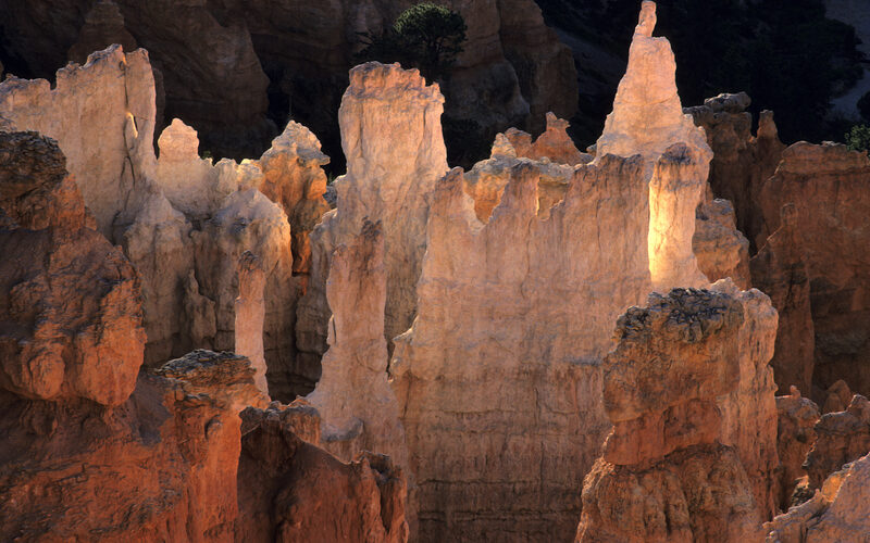 Rows of red and orange hoodoo rock formations in Bryce Canyon, Utah