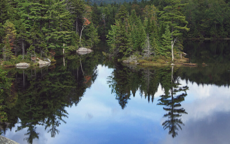 Tranquil forest lake surrounded by evergreen trees in Vermont's Green Mountains