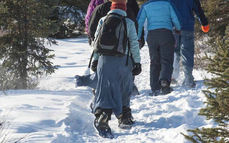People snowshoeing through an evergreen forest in the West Virginia mountains