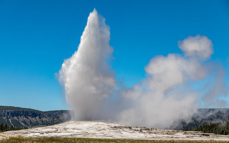Old Faithful geyser erupting with a towering steam column against blue sky in Yellowstone National Park, Wyoming